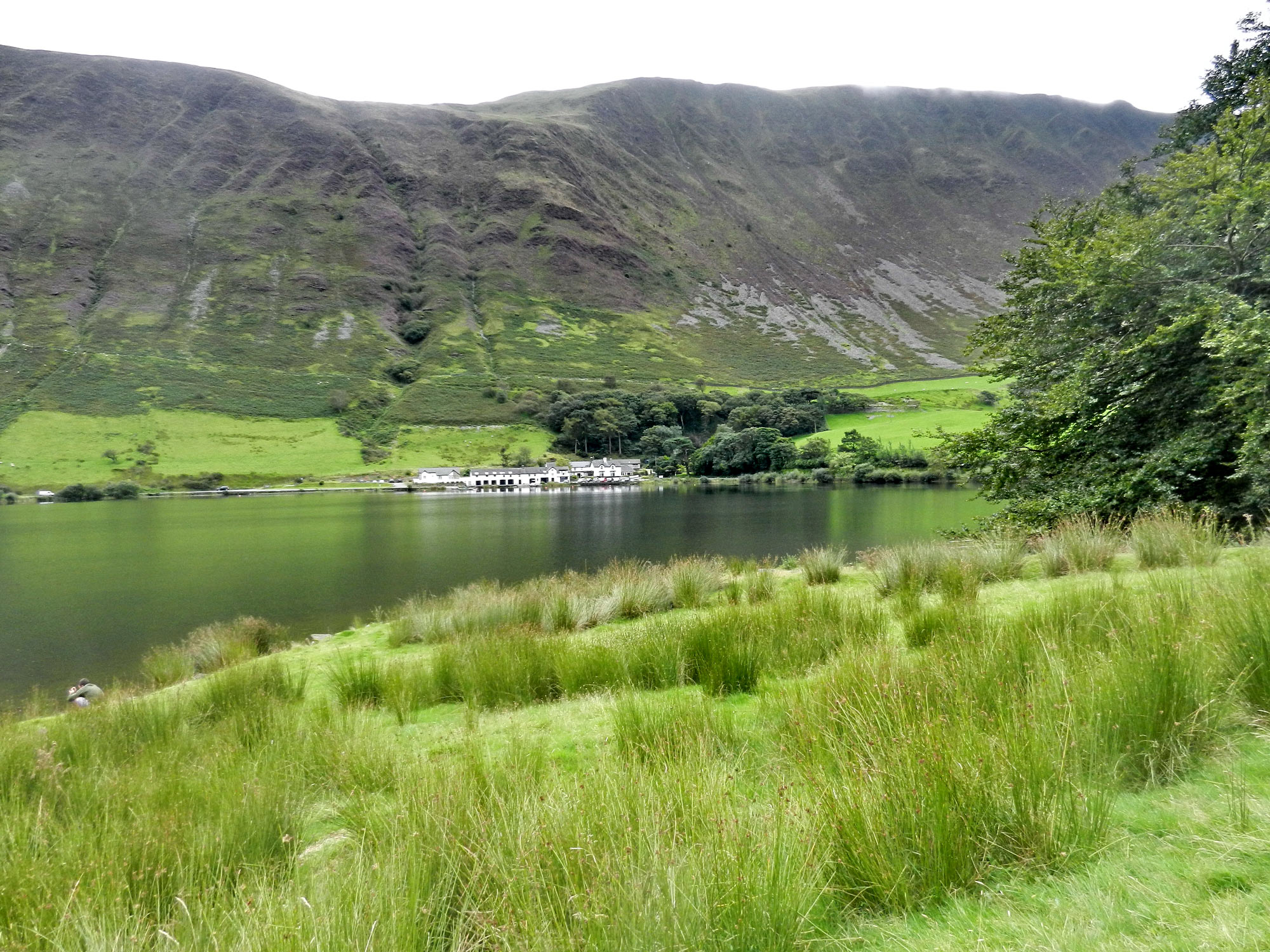 Tal-y-Llyn